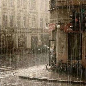 Meet your Posher, Jess